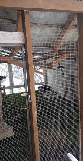 PANEVĖŽIO GYVŪNŲ GLOBOS DRAUGIJOS nuotr.