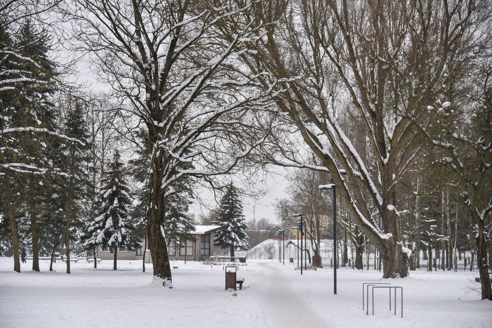 Jaunimo parkas. P. Židonio nuotr.