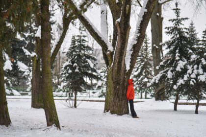 Atnaujintas Jaunimo parkas, įsiterpęs tarp A. Jakšto ir Marijonų gatvių, gali gauti prieš karą šioje vietoje sodą puoselėjusių marijonų vienuolių vardą.