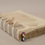 G. PETKEVIČAITĖS-BITĖS VIEŠOSIOS BIBLIOTEKOS nuotraukos