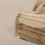 G. PETKEVIČAITĖS-BITĖS VIEŠOSIOS BIBLIOTEKOS nuotraukos