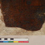 G. PETKEVIČAITĖS-BITĖS VIEŠOSIOS BIBLIOTEKOS nuotraukos