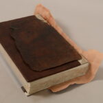 G. PETKEVIČAITĖS-BITĖS VIEŠOSIOS BIBLIOTEKOS nuotraukos