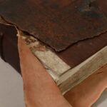 G. PETKEVIČAITĖS-BITĖS VIEŠOSIOS BIBLIOTEKOS nuotraukos