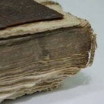 G. PETKEVIČAITĖS-BITĖS VIEŠOSIOS BIBLIOTEKOS nuotraukos