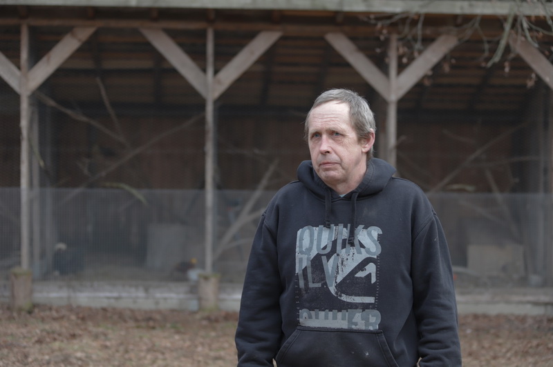 Gražuoliai fazanai – Sauliaus Gulbinavičiaus džiaugsmas. I. STULGAITĖS-KRIUKIENĖS nuotr.