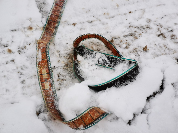 I. STULGAITĖS-KRIUKIENĖS nuotr.