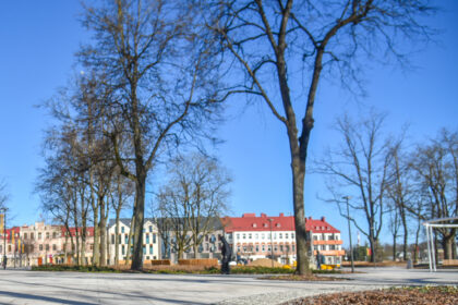 Draudimas šalinti saugotinus želdinius ar jų dalis įsigalioja kovo 15 dieną, prasidedant intensyviam paukščių veisimosi laikotarpiui.