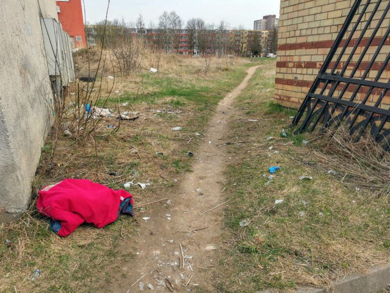 I. STULGAITĖS-KRIUKIENĖS nuotr.