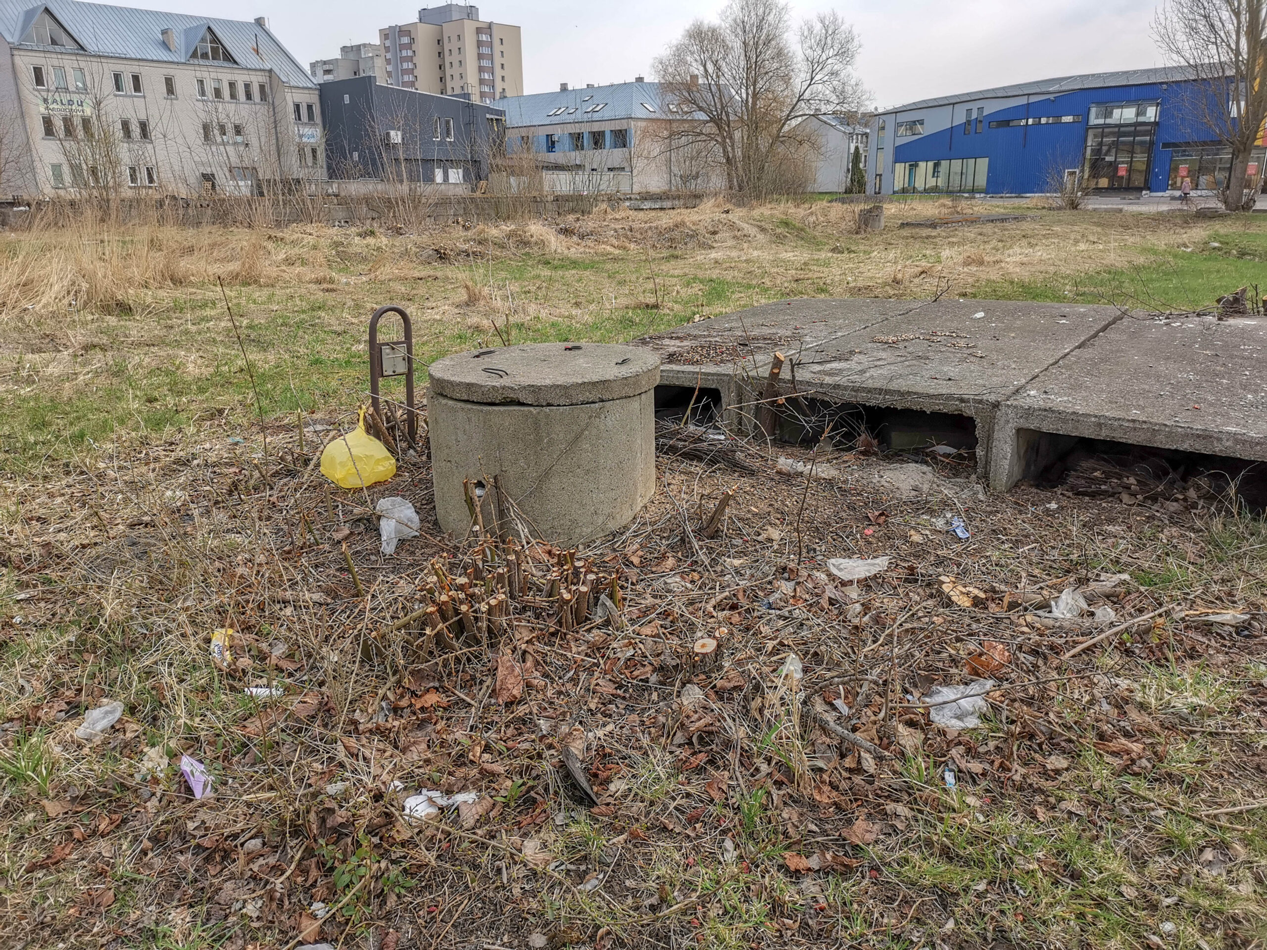 I. STULGAITĖS-KRIUKIENĖS nuotr.