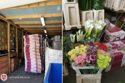 Į Panevėžio apskrities vyriausiojo policijos komisariato Kriminalinės policijos Ekonominių nusikaltimų tyrimo valdybos pareigūnų akiratį pateko bendrovė, besiverčianti gėlių, sodinukų bei floristikos reikmenų didmenine prekyba iš Olandijos.