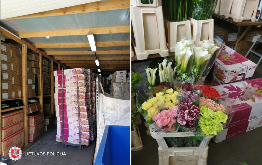 Į Panevėžio apskrities vyriausiojo policijos komisariato Kriminalinės policijos Ekonominių nusikaltimų tyrimo valdybos pareigūnų akiratį pateko bendrovė, besiverčianti gėlių, sodinukų bei floristikos reikmenų didmenine prekyba iš Olandijos.