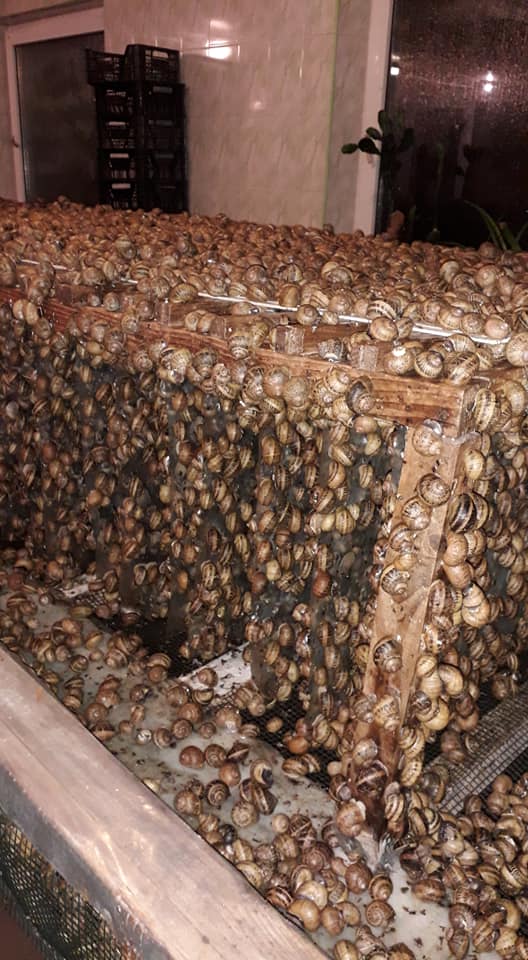 J. Krikštaponienės asmeninio archyvo nuotr.