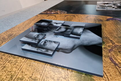 Projektai „X“, inicijuoti A galerijos, – tęstinis įvykis, kviečiantis skirtingų sričių kūrėjus dirbti poromis prie bendro kūrinio, dalinantis skirtinga kūrybine bei technologine patirtimi, idėjomis, paliekant laisvą erdvę temos interpretavimui. Tai – nemažas iššūkis, tačiau dovanojantis neįkainojamą patirtį kūrėjams ir netikėtus, intriguojančius kūrinius meno gerbėjams bei kultūriniam Lietuvos paveldui.