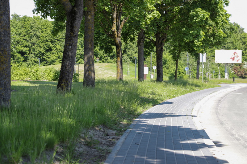 I. STULGAITĖS-KRIUKIENĖS nuotr.