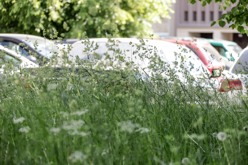 I. STULGAITĖS-KRIUKIENĖS nuotr.