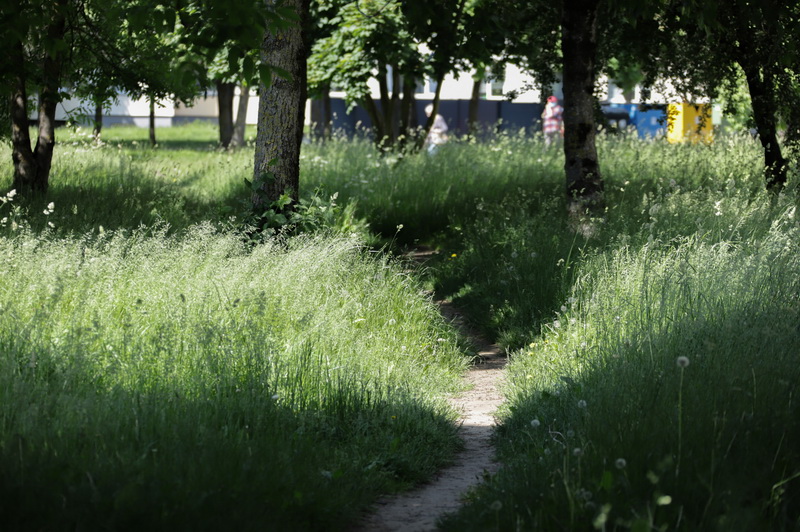 I. STULGAITĖS-KRIUKIENĖS nuotr.