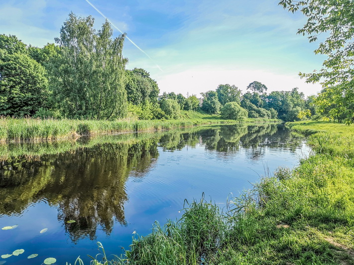Panevėžio savivaldybė vėl ieško šienpjovių Nevėžiui nušienauti. I. STULGAITĖS-KRIUKIENĖS nuotr.