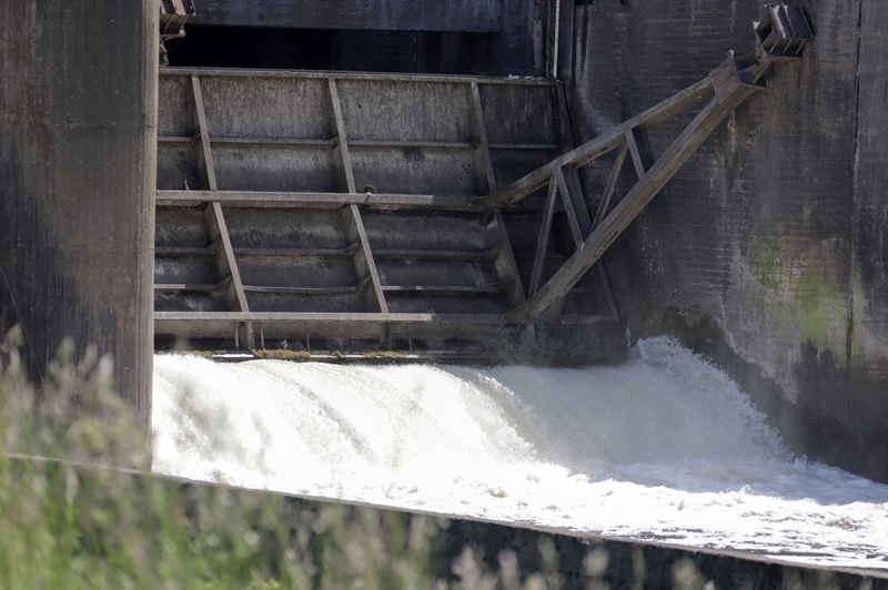 I. STULGAITĖS-KRIUKIENĖS nuotr.