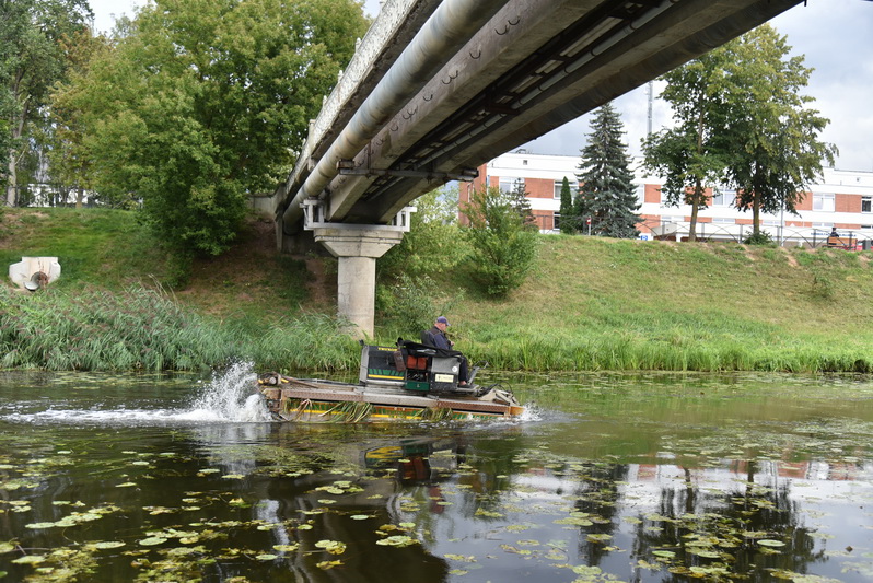 Pastaruosius porą metų Nevėžį nuo žolių vadavo Kauno ir Ignalinos įmonės. P. ŽIDONIO nuotr. 