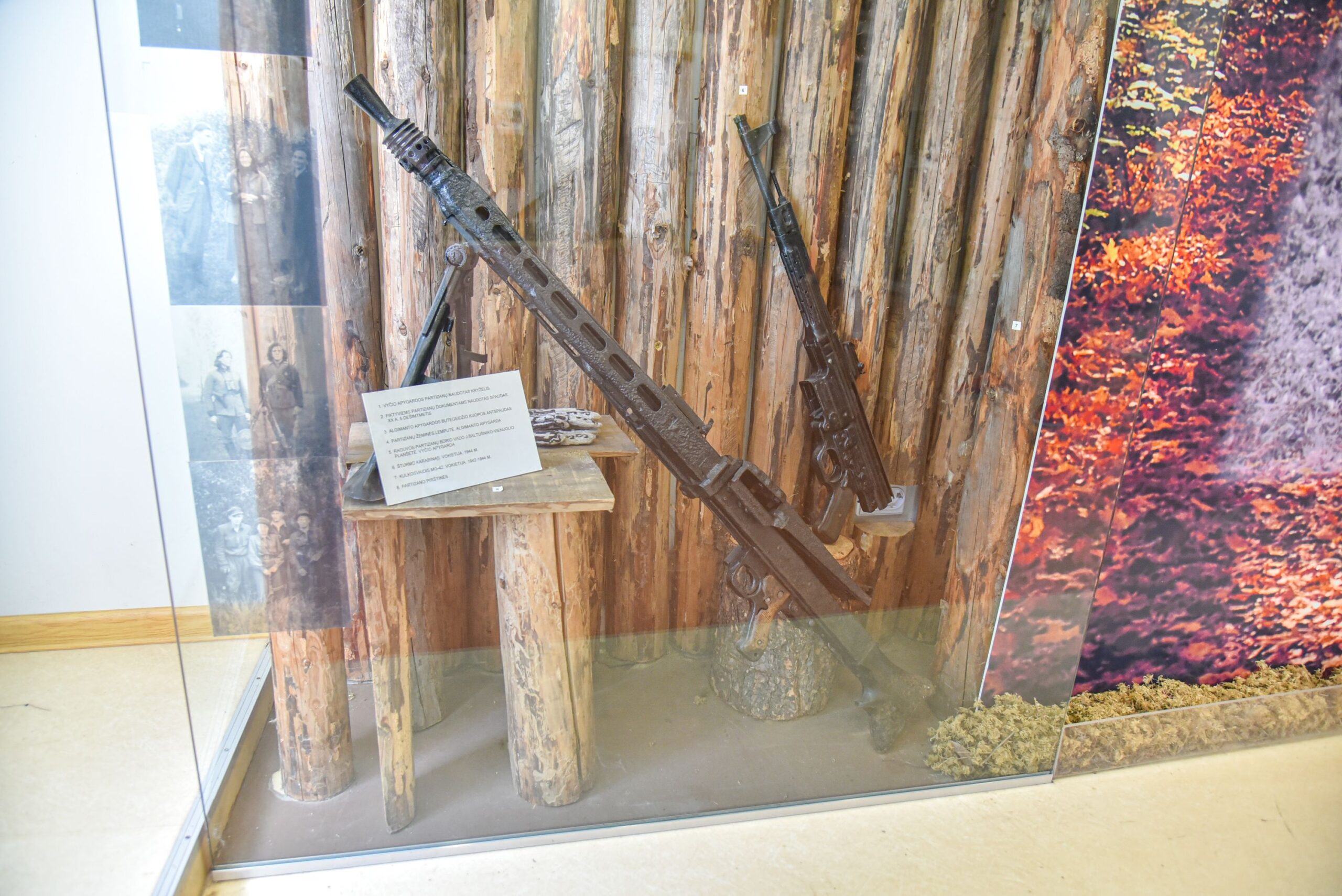 Ši vasara – galutinis terminas įregistruoti palėpėse, stalčiuose, galbūt seifuose, o gal ir ant sienų pakabintus įvairių amžių šaunamuosius ginklus. Suregistruoti ginklus iki šiųmečio rugsėjo įpareigoja Ginklų ir šaudmenų kontrolės įstatymo pataisa. Registruoti juos privalo ir kolekcininkai, ir visi šalies muziejai.