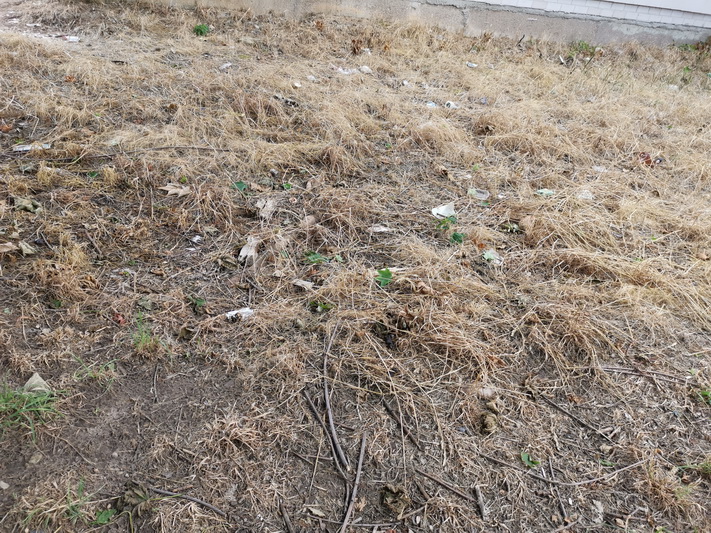 I. STULGAITĖS-KRIUKIENĖS nuotr.