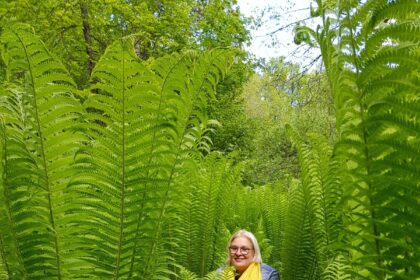 „Kaip reikia iškepti skanius blynus? Reikia užmaišyti tešlą ir 25-erius metus pasiraitojus rankoves kepti juos stovint prie plytos“, – juokiasi gidė Daiva Tankūnaitė. Jau gerokai daugiau nei tris dešimtis metų ji vedžioja žmones ne tik po tas vietas, kur kepa blynus. Jos profesinę biografiją puošia visi svarbiausieji turizmo srities apdovanojimai, o maršrutuose gausu gamtos, architektūros, istorijos, literatūros, kulinarijos, nuotykių ir – linksmų istorijų.