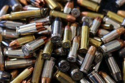 Daugiau kaip šimtas šovinių ir įvairaus kalibro šovinių tūtelių, išmestos vienoje iš garažų bendrijų, sukėlė nemažą ažiotažą. Ekspertams pavesta išsiaiškinti, kam šie šoviniai yra naudojami.