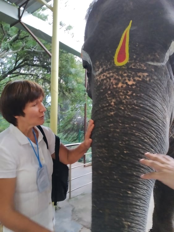 Aušra Junevičienė. Asmeninio archyvo nuotr.