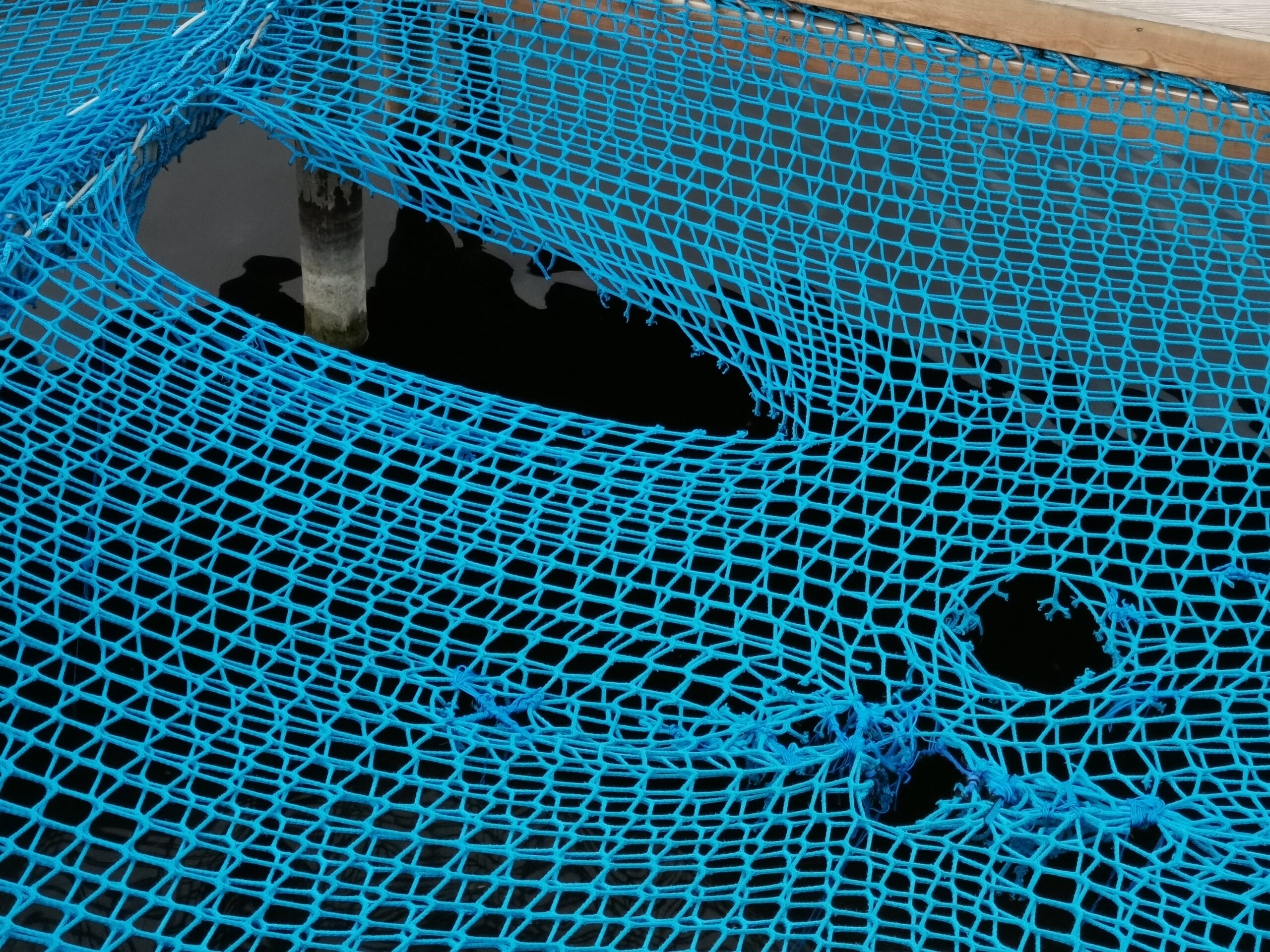 I. STULGAITĖS-KRIUKIENĖS nuotr.