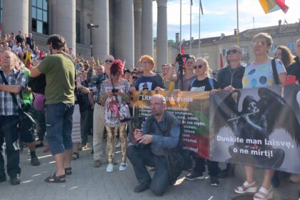 Vilniaus miesto apylinkės teismas, ketvirtadienį nagrinėjantis prokurorų prašymus suimti 26 įtariamuosius dėl riaušių prie Seimo Vilniuje sukėlimo, kol kas leido suimti du asmenis, tris prašymus atmetė.