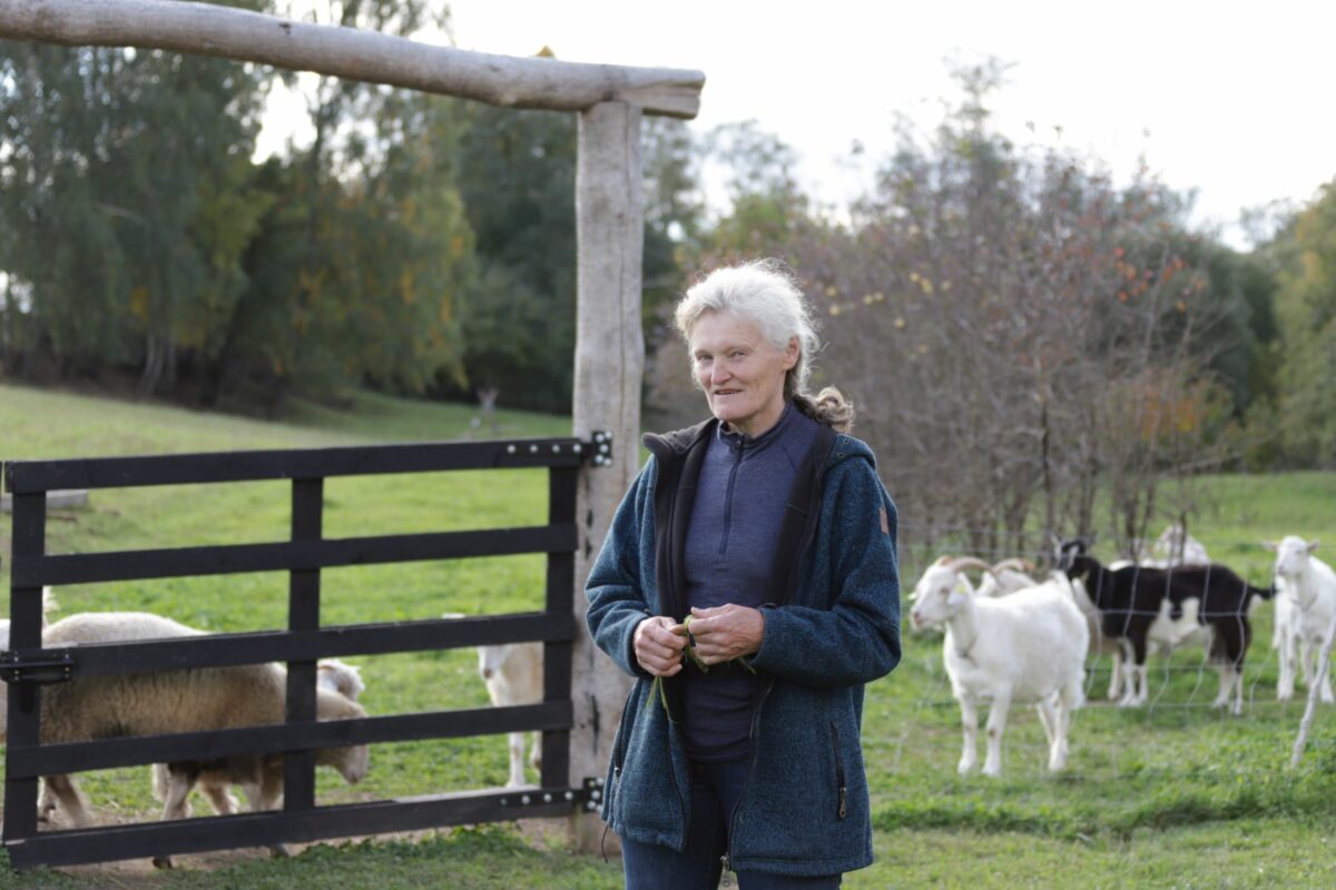 Gražina Vildzevičienė . I. Stulgaitės-Kriukienės nuotr.
