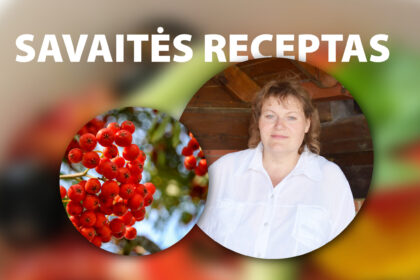 Velžio bibliotekininkė, visame Panevėžio rajone pažįstama visuomenininkė, bendruomenės „Naujasis Velžys“ pirmininkė Birutė Kronienė pasakoja dar visai neseniai labai mėgusi konservuoti, eksperimentuoti virtuvėje, bet dabar, kai rugsėjai vis gražesni, labai gaila laiką gaišti virtuvėje. Tačiau šermukšnių Birutė niekaip negali atsisakyti.