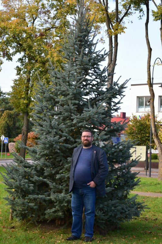 Vaidas Kaušakys nusiteikęs šįmet dar nepuošti Krekenavos maždaug 4 metrų aukščio naujokės. A. LŪŽOS nuotr.