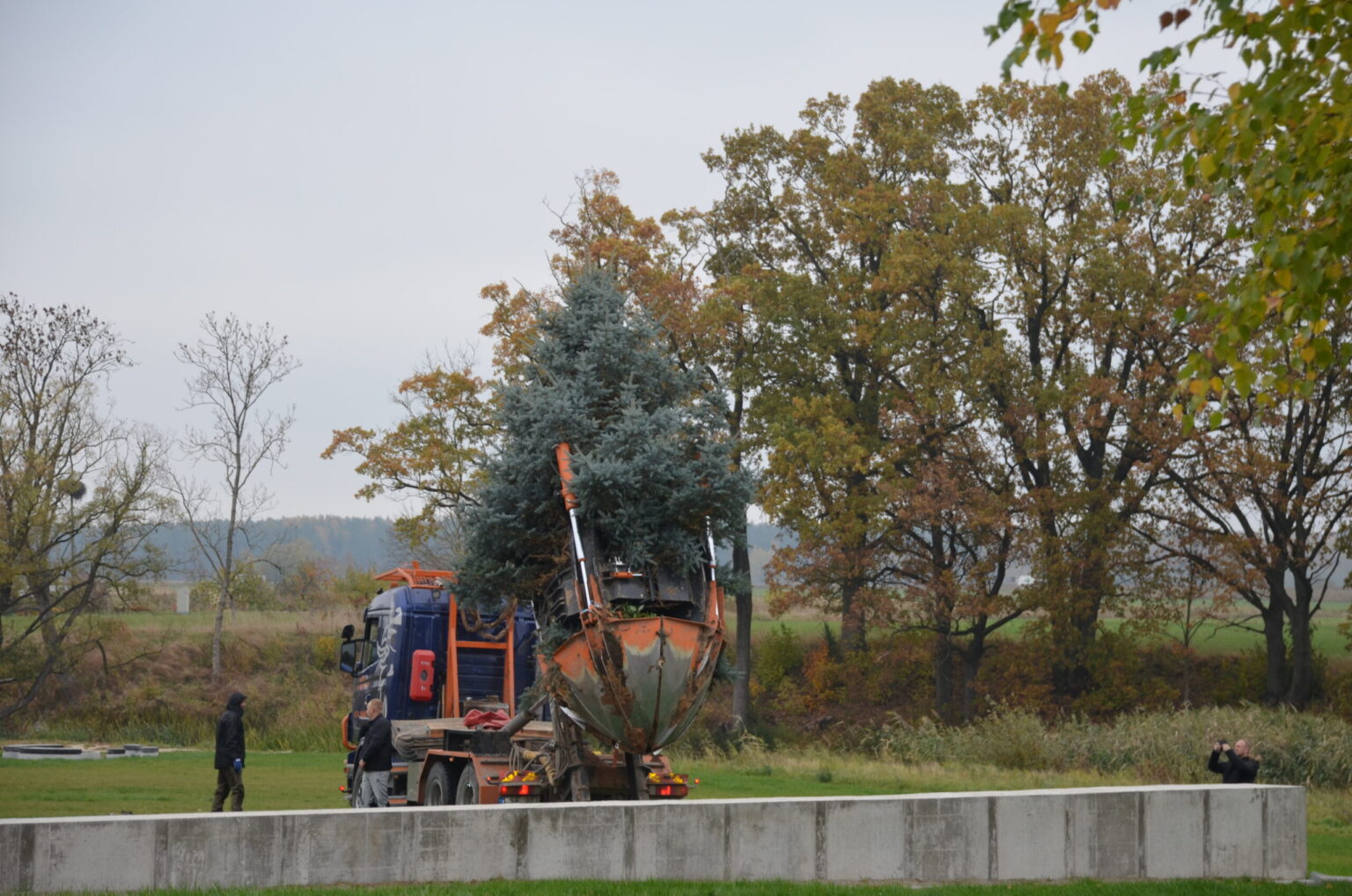 Ruduo – darbymetis, kai plušama soduose sodinant vaismedžius, o dvi Panevėžio rajono seniūnijos pasisodino jau gerokai ūgtelėjusias, kelis metrus siekiančias sidabrines egles. Seniūnai viliasi, jog persodinus suaugusius medžius nebereiks sukti galvos, iš kur gauti svarbiausią Kalėdų akcentą.