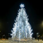 Praėjusių metų Panevėžio baltaskarė išrinkta gražiausia Lietuvos Kalėdų egle. P. Židonio nuotr.