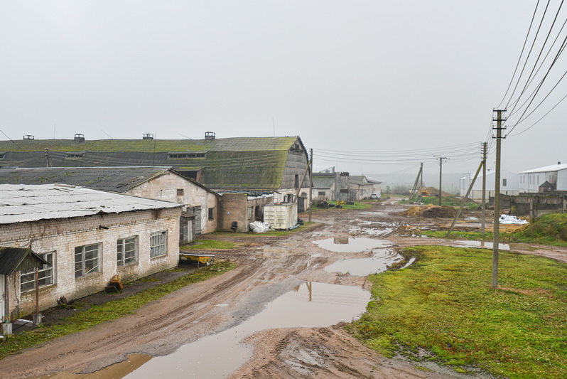 Šilagaliečiai tik iš žurnalistų išgirdo, kad jų pašonėje, vos už 200 metrų nuo gyvenamųjų namų, iškils jėgainė, kurioje srutos bus paverčiamos dujomis. P. ŽIDONIO nuotr. 