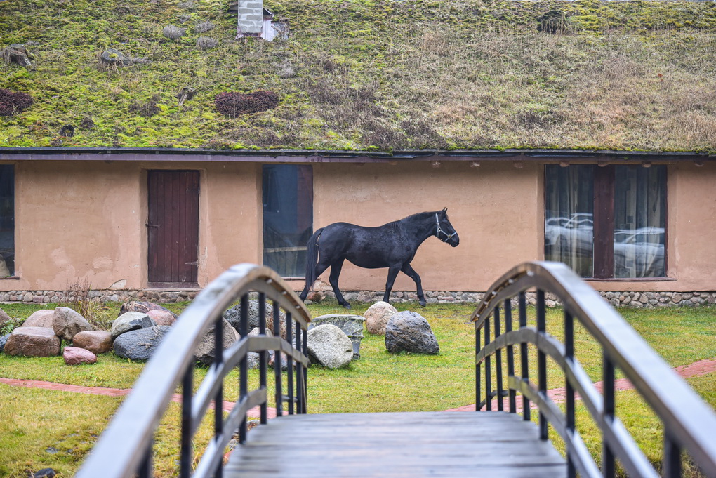 Kaimo turizmo sektoriaus atstovai pastebi po karantino atsiradusią naują tendenciją: žmonės vis dažniau nori atsipalaiduoti ne prie valgiais ir alkoholiniais gėrimais nukrautų stalų, o gamtoje. P. ŽIDONIO nuotr.