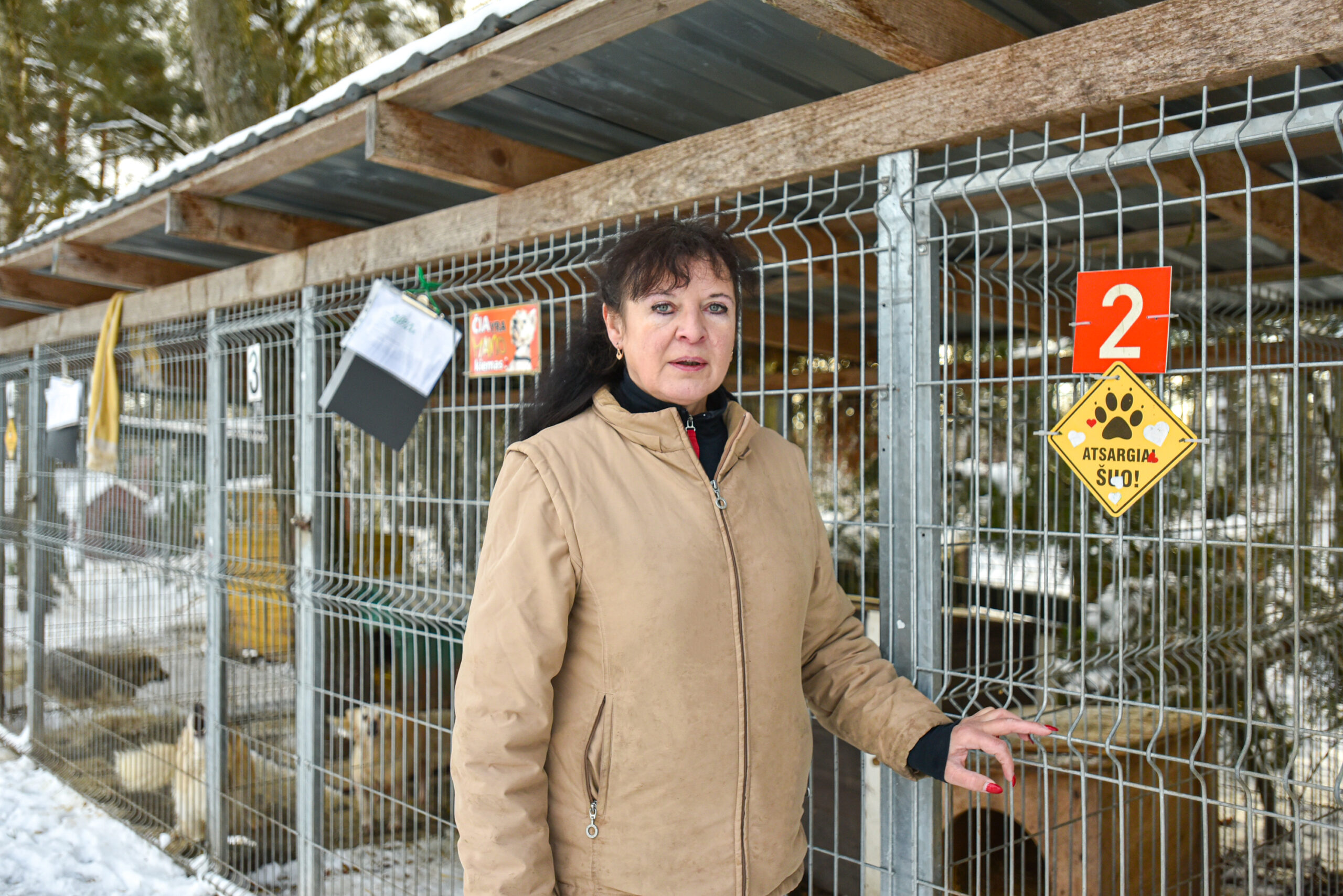 Gyvūnų prieglaudomis besirūpinanti Rūta Liberienė atkreipė dėmesį, kad Kalėdos – tai metas, kai jose padaugėja žmonėms nebereikalingų keturkojų. P. ŽIDONIO nuotr.