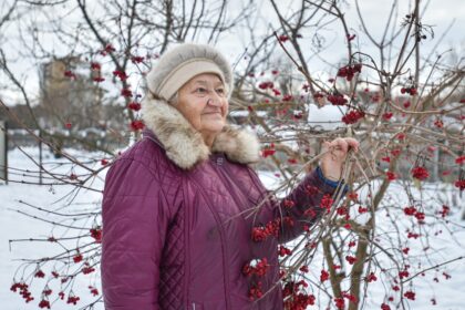 „Mano mama buvo Kaizerlingo akmistrinė“, – išdidžiai pareiškia panevėžietė Vida Kaunienė, nors daugeliui toks pareigų pavadinimas nebus girdėtas, šiai dukrai tai – nepaprasta, dvariška romantika ir tarpukario dvasia kvepianti istorija.