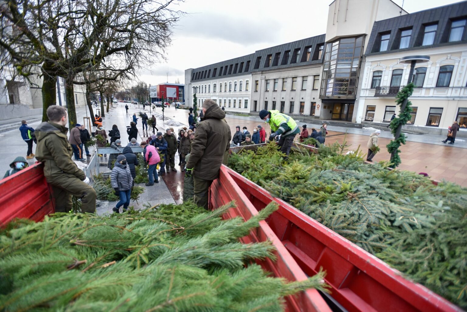 Laisvės aikštėje ketvirtadienį trumpam pakvipo mišku.
