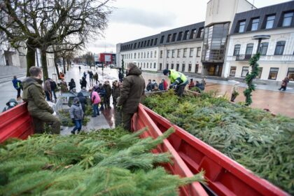 Laisvės aikštėje ketvirtadienį trumpam pakvipo mišku.