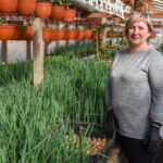 Kylančios trąšų, elektros, malkų kainos koreguoja ir ankstyvųjų daržovių bei augintojų planus. Savo produkcijos analogiškai branginti nedrįstantys Panevėžio rajono ūkininkai vėlina sezoną ir tikisi bent susigrąžinti į šiltnamius investuotus pinigus.