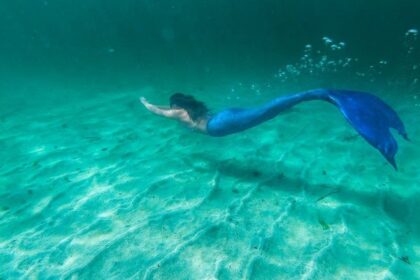 Daugelis pažįsta rašytojo Hanso Kristiano Anderseno vaizduotės vaisių ar Disnėjaus klasiką – mažąją undinėlę, tačiau, kaip mums sako tyrinėtojai, undinės nėra vien tik grožinės literatūros ar filmų kūriniai.