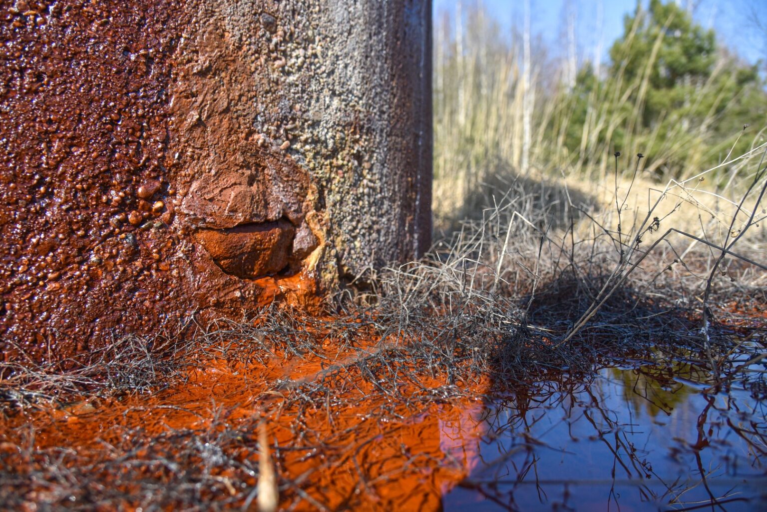 Nors sunku patikėti, tačiau mineralinio vandens versmėmis gali pasigirti ne tik Druskininkai ar Likėnai, bet ir senieji Berčiūnai Panevėžio rajone.