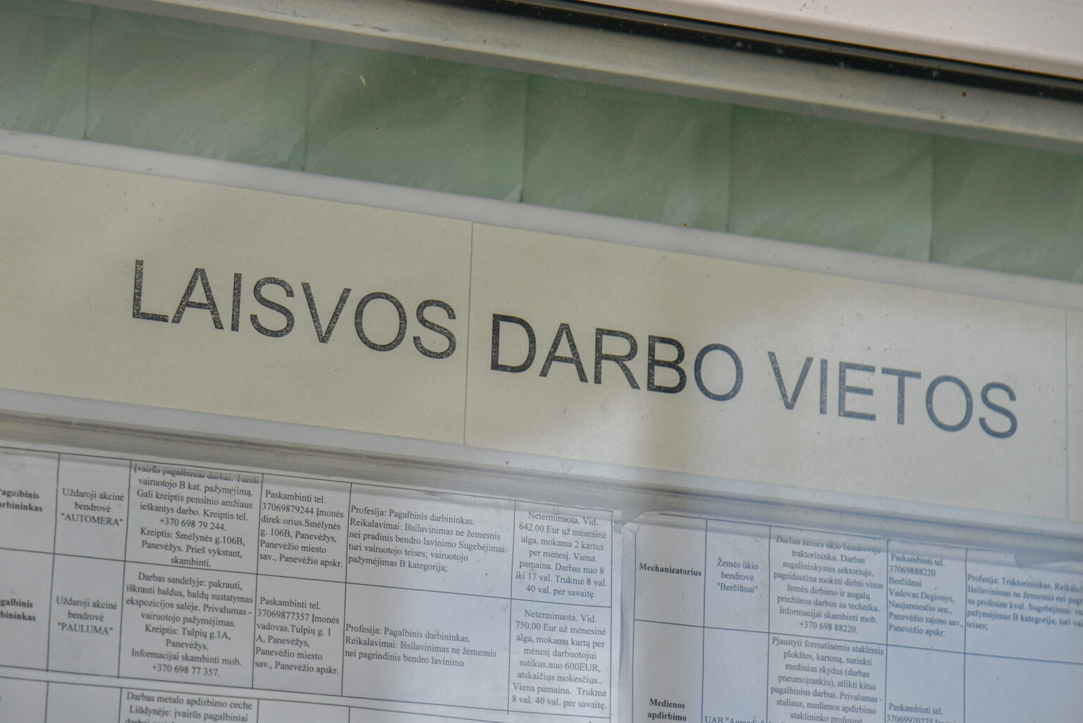 Užuovėją nuo karo baisumų Panevėžyje suradę ukrainiečiai pildo dirbančiųjų gretas.