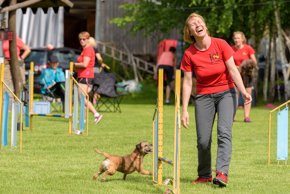 Jūratė Miliūnaitės augintinės – Lietuvoje dar labai retos borderterjerų veislės kalytės. Įsigijusi pirmąją, šunų mylėtoja ilgainiui savo „gaują“ padidino iki trijų. G. KARALIŪNAITĖS nuotr.