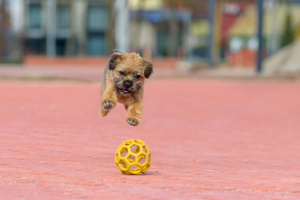 G. KARALIŪNAITĖS nuotr.