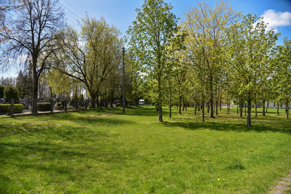 Savivaldybės planuose numatyta kolumbariumą statyti Kristaus Karaliaus kapinių pašonėje. P. ŽIDONIO nuotr.