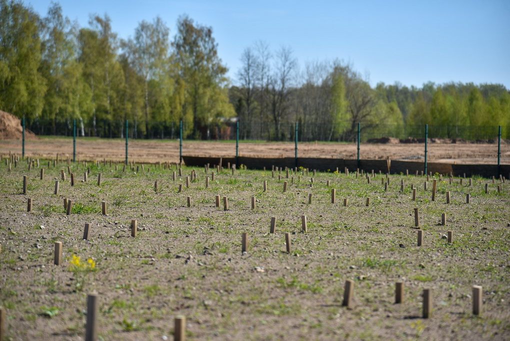 Nuo Šilaičių kapinių tvora atskirtos Pašilių kapinės toliau plečiamos. P. ŽIDONIO nuotr.